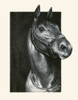 Illustration from the book, "Black, Bay, and Chestnut; Profiles of Twenty Favorite Horses" by C.W. Anderson. Poster Print by C.W. Anderson - Item # VARBLL0587407905