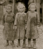 Josie, six year old, Bertha, six years old, Sophie, 10 years old, all shuck regularly. Poster Print - Item # VARBLL058755069L Josie, six year old, Bertha, six years old, Sophie, 10 years old, all shuck regularly. Poster Print - Item # VARBLL058755069L