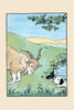 Billy Goat teases the dogs and won't let them come out of the lake.  An illustration from a series of children's books which came free with the Public Ledger newspaper. Poster Print by Julia Dyar Hardy - Item # VARBLL0587273062