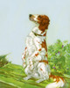 An English setter rests on its haunches perhaps for a treat.  Taken from "A Dog Book" by Albert Terhune published in 1932 and illustrated by Diana Thorne. Poster Print by Diana Thorne - Item # VARBLL0587405767