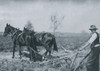 Farmer behind horses as they pull a plow through a field Poster Print - Item # VARBLL058755198L