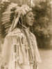 Half-length portrait of Umatilla youth in full feather headdress, beaded buckskin shirt and shell bead necklace. Poster Print - Item # VARBLL058747626L