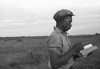 African American Cotton checker, Pulaski County, Arkansas Poster Print - Item # VARBLL058744893L