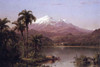 Palms in the Amazon Jungle of Venezuela Poster Print by Frederic Edwin Church - Item # VARBLL0587261528
