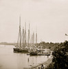 White House Landing, Va. View down river, with supply vessels Poster Print - Item # VARBLL058753637L