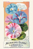 Victorian trade card for a seed company, D.M. Ferry & co., showing the "actual" flowers you can grow. Poster Print by unknown - Item # VARBLL0587391197