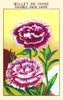 Chinese double carnation Poster Print by unknown - Item # VARBLL0587410000