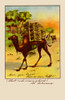 Advertising postcard for Kar-A-Van coffee showing a camel loaded with coffee crates.  The slogan reads, "Have you tried Kar-a-van coffee, that rich creamy kind, it's delicious" Poster Print by unknown - Item # VARBLL0587382139
