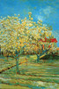Orchard with cypress by Van Gogh Poster Print by Vincent Van Gogh - Item # VARBLL0587256419