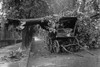 Large Tree Falls and Crushes Horse Drawn Wagon on Road Poster Print by unknown - Item # VARBLL058745868L