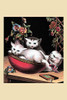 Three kittens play in a bowl. Poster Print by unknown - Item # VARBLL0587263687