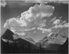 Tops of pine trees snow covered "In Glacier National Park" Montana. 1933 - 1942 Poster Print by Ansel Adams - Item # VARBLL0587400439