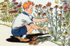 A boy cuts flowers from the garden to make a beautiful bouquet. Poster Print by Julia Letheld Hahn - Item # VARBLL0587274654