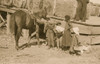 Group on a cotton plantation Poster Print