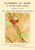 A bird perches on a branch. Poster Print - Item # VARBLL0587415665