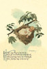 A page from a book containing nursery rhymes along with the art of Maud Humprey. Poster Print by Maud Humphrey - Item # VARBLL0587048220