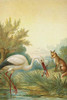 Stork has a fish in its beak and a fox looks on Poster Print by A.  Hochstein - Item # VARBLL0587315962