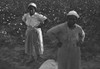 African American Sharecroppers Poster Print - Item # VARBLL058744865L