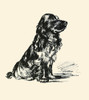 Pencil drawn illustration of a dog from an illustrated book on dogs entitled "Dogs Rough & Smooth" by Lucy Dawson, 1944. Poster Print by Lucy Dawson - Item # VARBLL058740521x