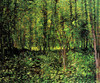 Trees and Undergrowth [2] Poster Print - Item # VARBLL058750535L