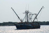 A lone fishing vessel returns to port in Cape May New Jersey. Poster Print by Jason Pierce - Item # VARBLL058721578x