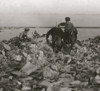 Boys of the Dumps - South Boston. Fields now being filled in for a Play Ground Poster Print - Item # VARBLL058754412L