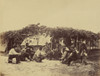 military personnel seated in a circle watching two African American men each holding roosters in preparation for a cockfight. Poster Print - Item # VARBLL0587631589