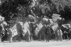Circus Elephants Visit the White House Poster Print by unknown - Item # VARBLL058745749L