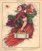 Anthropomorphic Map of Ireland Poster Print - Item # VARBLL058756719L