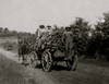 Hauling tobacco. Poster Print - Item # VARBLL058755175L Hauling tobacco. Poster Print - Item # VARBLL058755175L