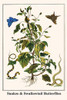 Snakes & Swallowtail Butterflies Poster Print by Albertus  Seba - Item # VARBLL0587296534