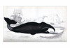 A captured right whale ready to be farmed for oil by whalers Poster Print by Heinrich V. Schubert - Item # VARBLL0587190418