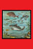 The original box art for a victorian kids game where children fish for paper fish with magnets. Poster Print by unknown - Item # VARBLL0587281332