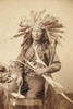 Little, Oglala band leader, three-quarter length studio portrait, seated, wearing a turkey feather headdress and holding various weapons. Poster Print by John C.H. Grabill - Item # VARBLL0587237988