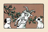 Two fox terriers meet a Billy goat.  An illustration from a series of children's books which came free with the Public Ledger newspaper. Poster Print by Julia Dyar Hardy - Item # VARBLL0587272988