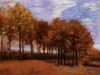 Autumn Landscape Poster Print - Item # VARBLL058750472L