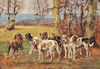 Six dogs standing in an open field with a few trees. Poster Print by Baron Karl Reille - Item # VARBLL0587047488