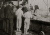 Eight-year-old Max, one of the young shrimp pickers in the Dunbar, Lopez, Dukate Company. Only a small force was working that day Poster Print - Item # VARBLL058755093L