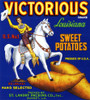 Crate label for Victorious brand sweet potatoes from Louisiana. Poster Print by unknown - Item # VARBLL0587356111