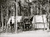 Culpeper, Va. Group of officers with gun at artillery headquarters Poster Print - Item # VARBLL058754169L