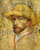 Vincent Van Gogh with Straw Hat [2] Poster Print - Item # VARBLL058750345L