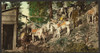 Colorado. Burros at silver mine Poster Print - Item # VARBLL058751024L