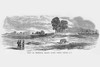 Fort on Fenwick's Island, South Edisto River, South Carolina Poster Print by Frank  Leslie - Item # VARBLL0587328312