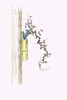 Print from a collection of Japanese flower arrangements known as Ikebana.  Tsuru-umemodoki & Rindo in a Bamboo Vase Poster Print by Josiah Conder - Item # VARBLL0587266171