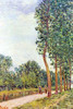 Tree lined avenue in the countryside Poster Print by Alfred  Sisley - Item # VARBLL0587263008