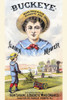 Victorian trade card for the Buckeye Lawn Mower.  To show how easy it is, "Buckeye boy" works the mower. Poster Print by unknown - Item # VARBLL0587391391