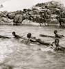 Nubian boys shooting the rapids of the Nile on logs, Egypt Poster Print - Item # VARBLL058753964L