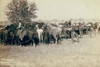 Rear view of three cowboys roping a herd of horses. Poster Print by John C.H. Grabill - Item # VARBLL0587238178