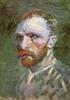 Vincent Van Gogh Poster Print - Item # VARBLL058750332L