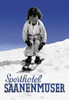 Travel poster for a sport hotel by train for ski vacations. Poster Print by Armin Reiber - Item # VARBLL0587026286